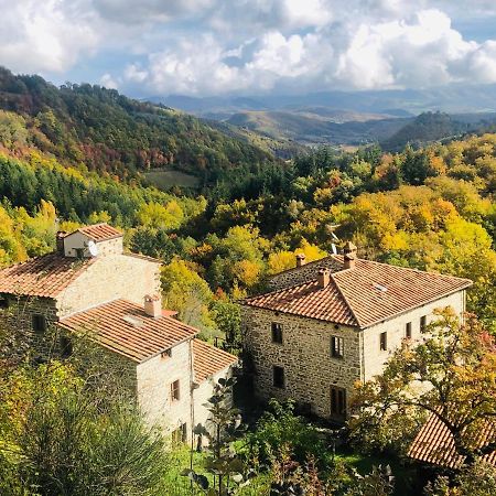 Bio Agriturismo Il Vigno Caprese Michelangelo Экстерьер фото