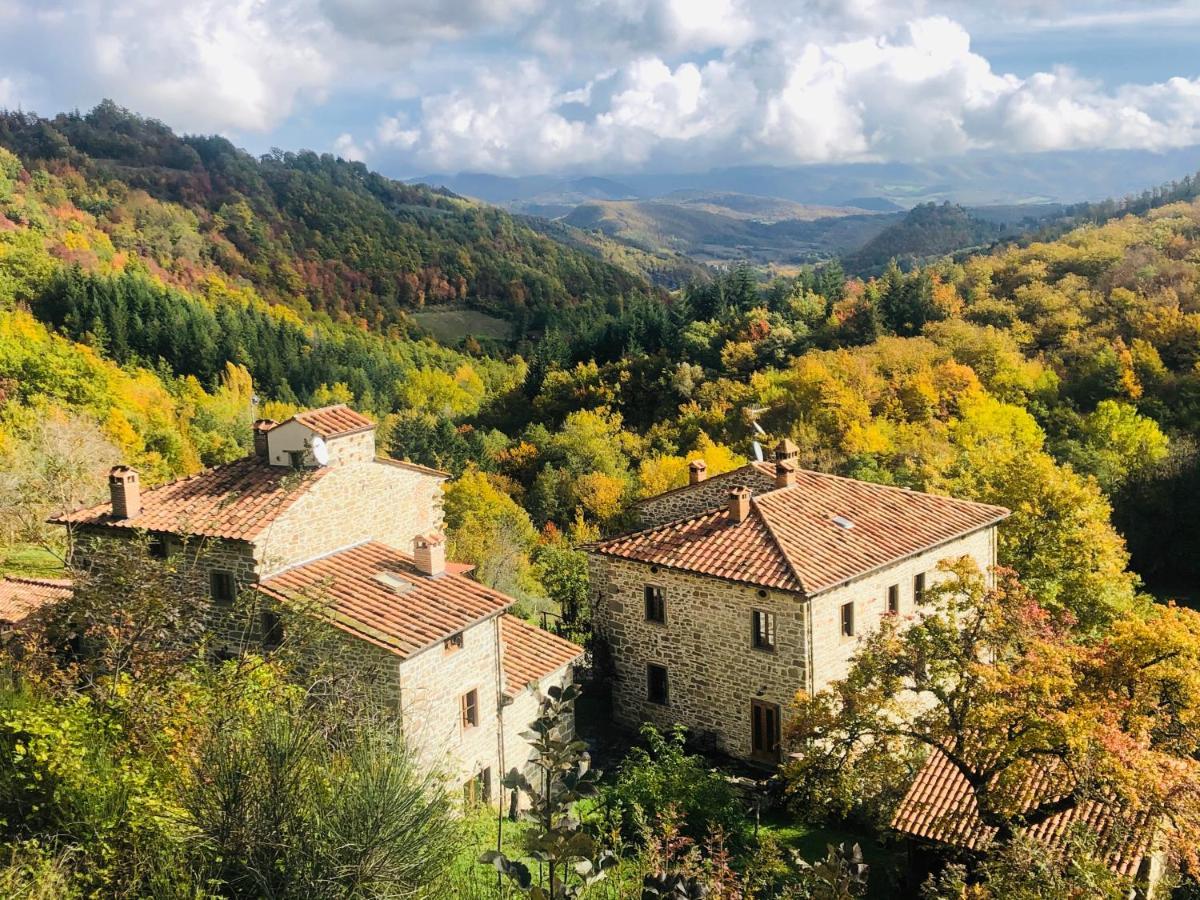 Bio Agriturismo Il Vigno Caprese Michelangelo Экстерьер фото