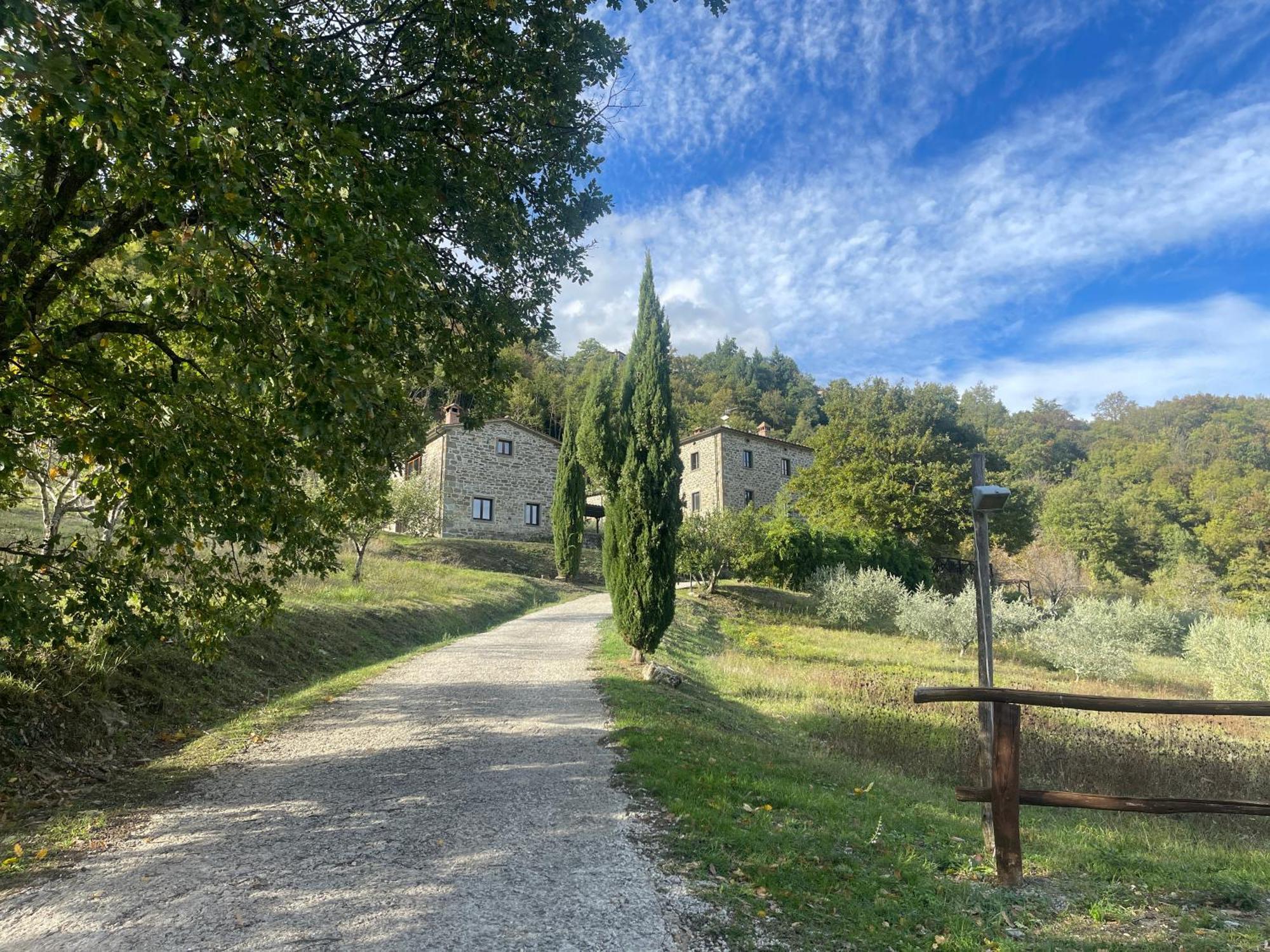 Bio Agriturismo Il Vigno Caprese Michelangelo Экстерьер фото