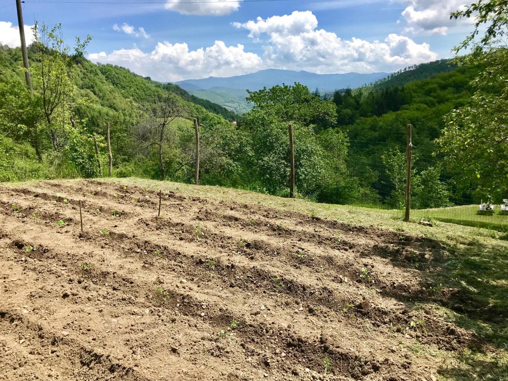 Bio Agriturismo Il Vigno Caprese Michelangelo Экстерьер фото