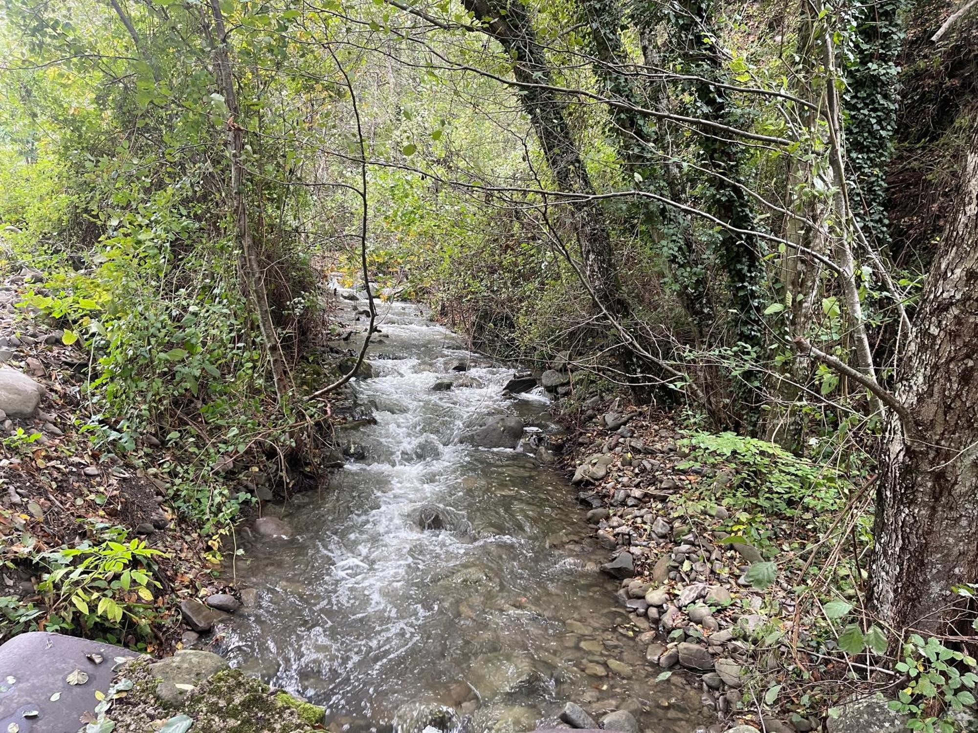 Bio Agriturismo Il Vigno Caprese Michelangelo Экстерьер фото