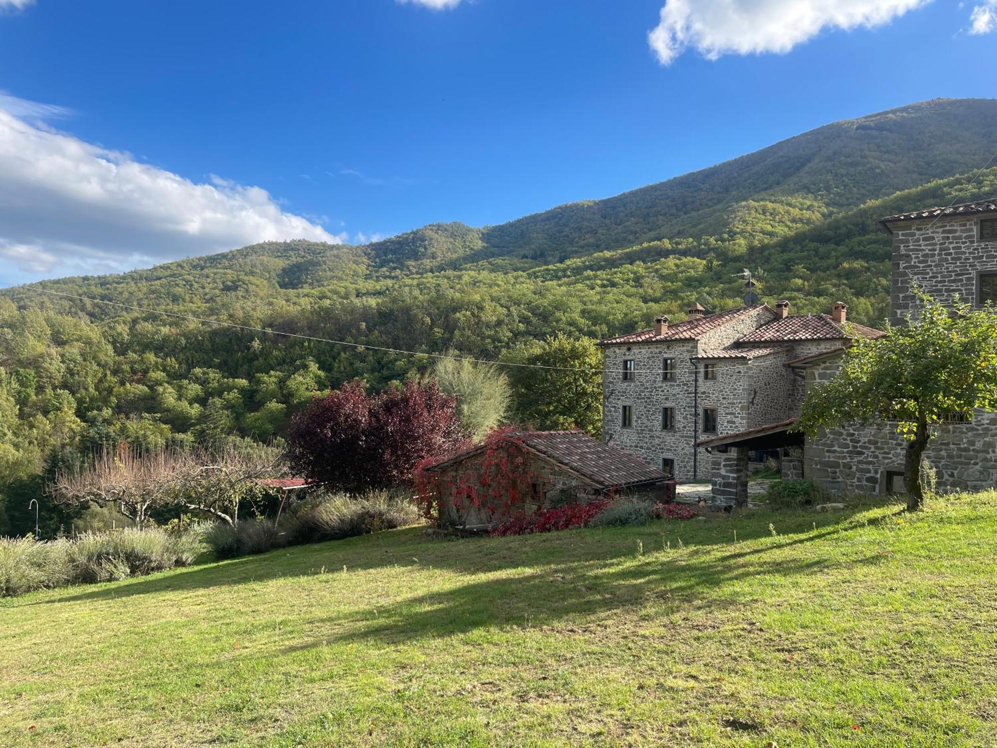 Bio Agriturismo Il Vigno Caprese Michelangelo Экстерьер фото