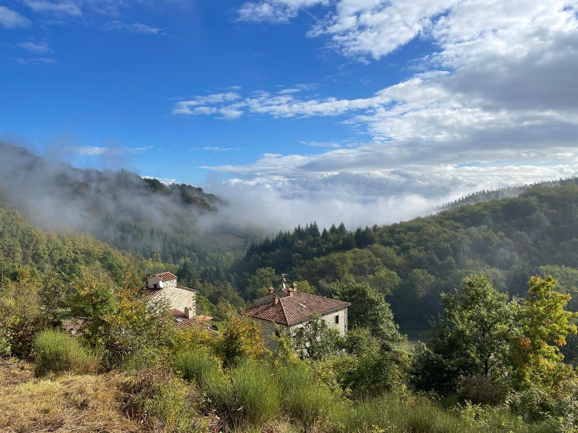 Bio Agriturismo Il Vigno Caprese Michelangelo Экстерьер фото