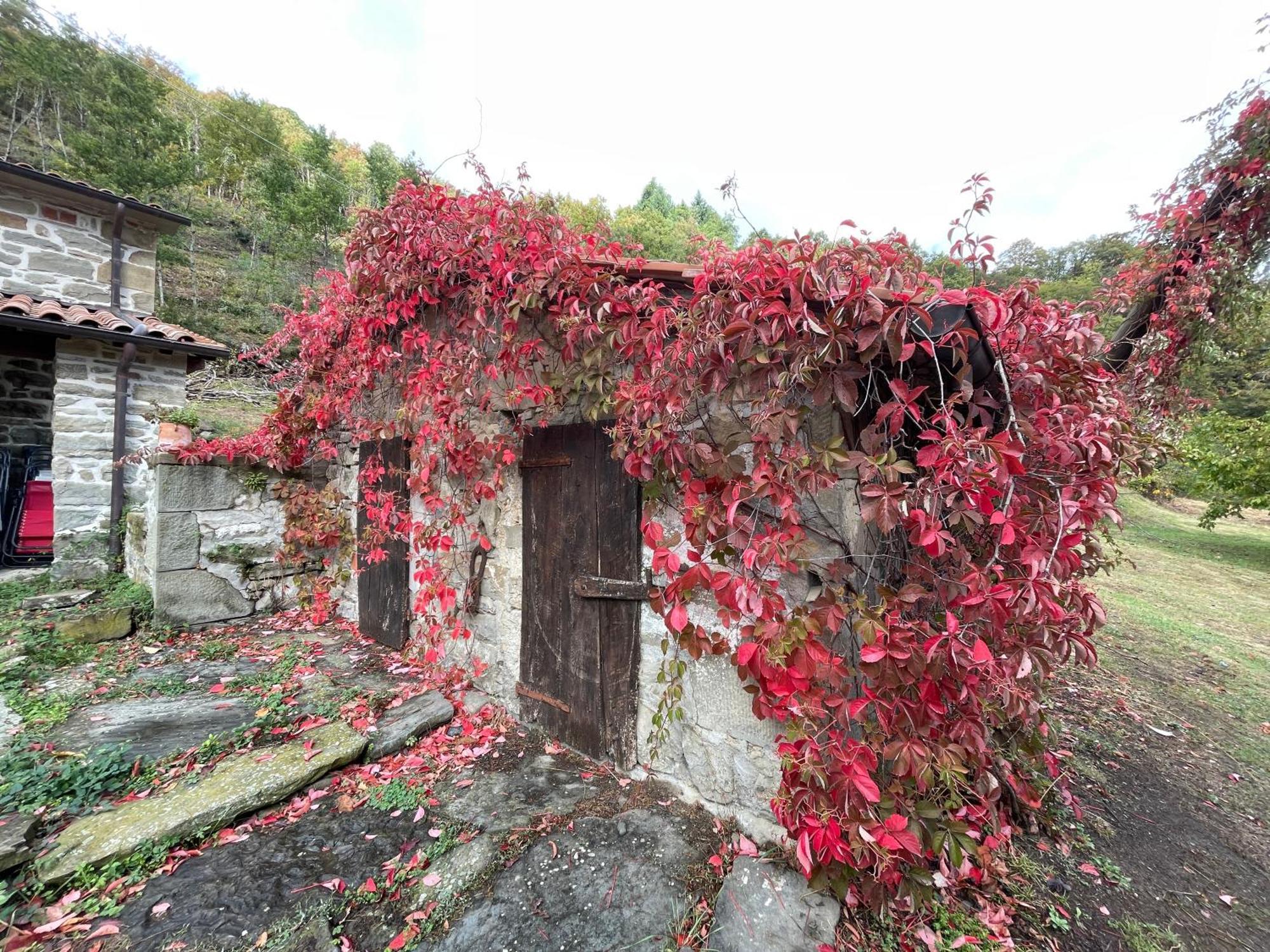 Bio Agriturismo Il Vigno Caprese Michelangelo Экстерьер фото